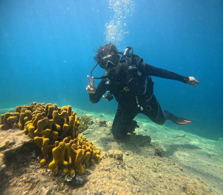 Deep Blue Divers