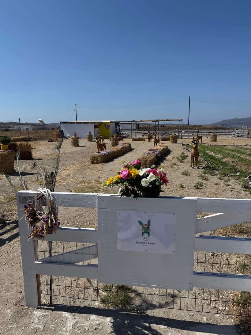 Donkey Farm Milos — 2