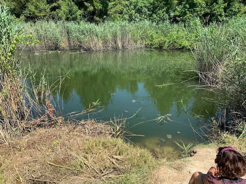 Mavrobara Turtle Lake
