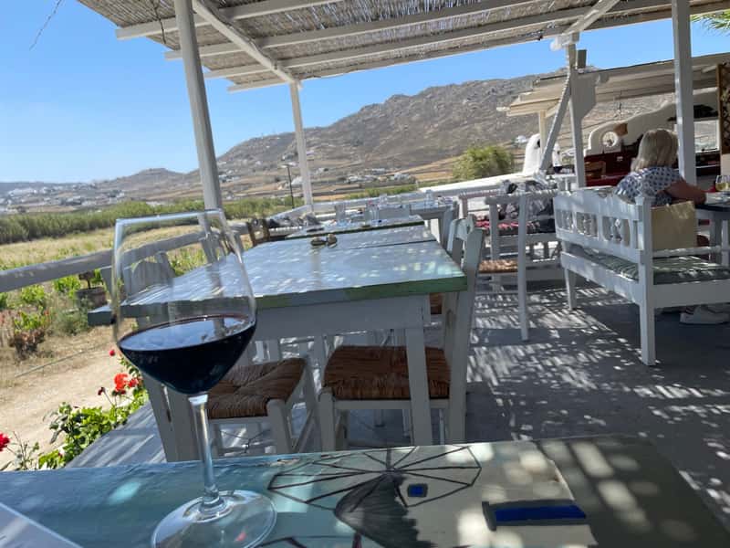 Mykonos Vioma Organic Farm — 2
