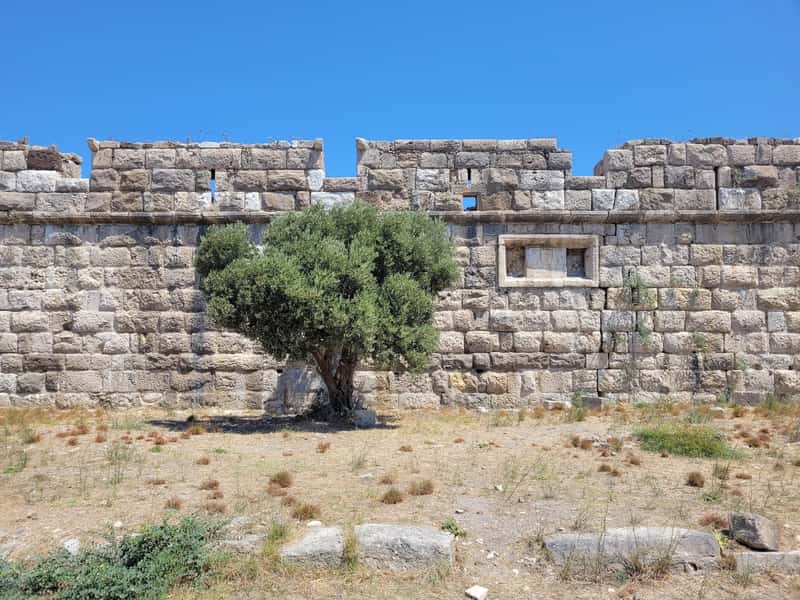 Nerantzia Castle — 2