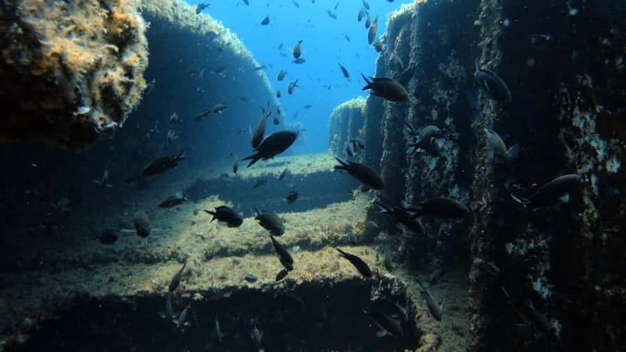 Ocean Blue Scuba Diving School