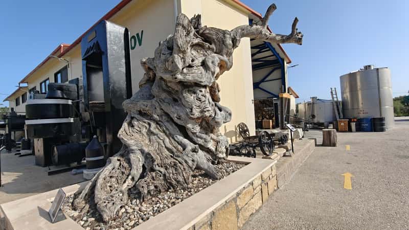 Olive Press Museum Zante — 2