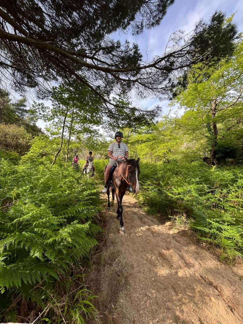Skiathos Horse Riding Center — 2