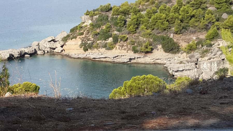 Spetses