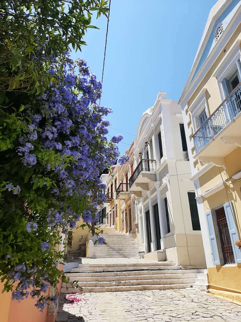 The Blue Steps 📸 — 2