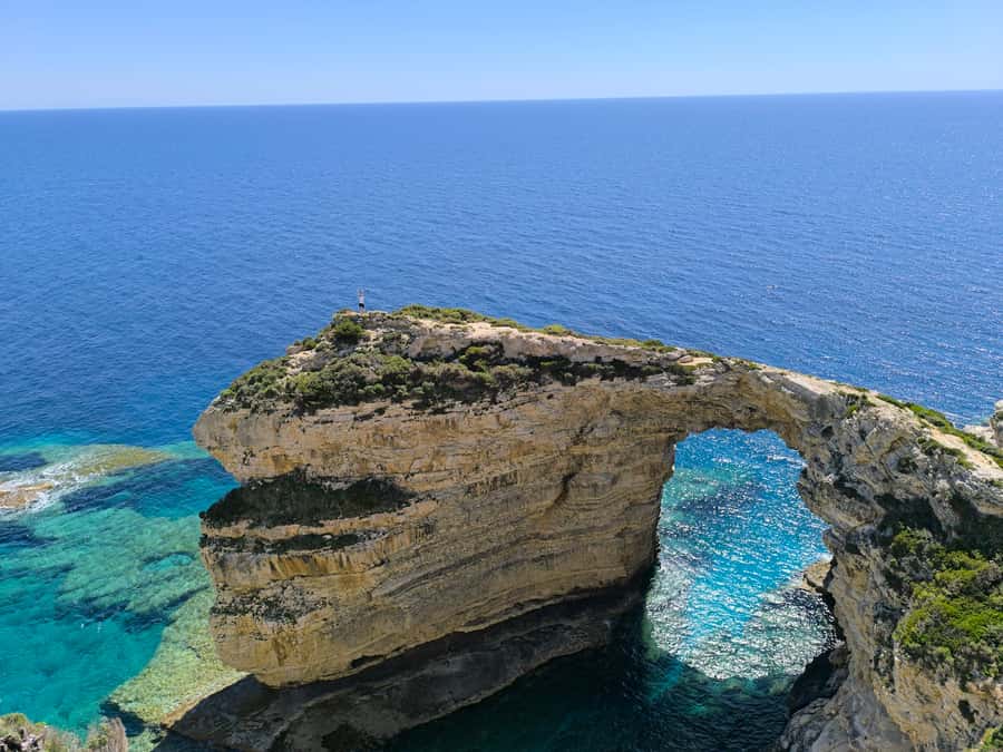 Paxos