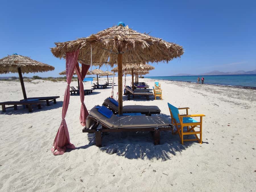 Happy Flamingo Beach