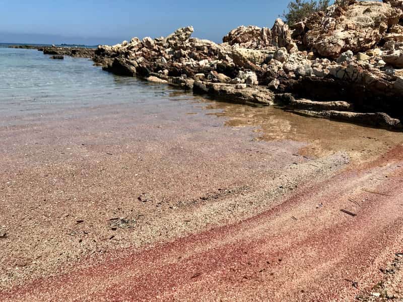 Tiny beach, pink sand — 2