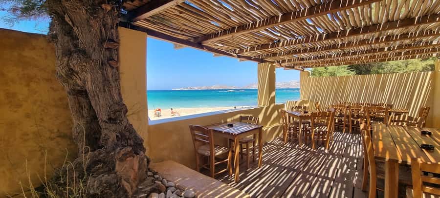 MAGAYA RESTAURANT