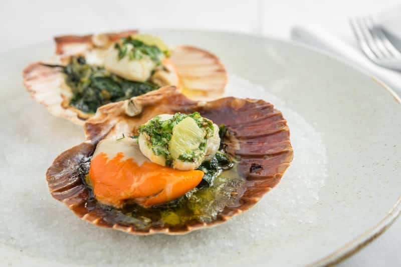 Rex Restaurant — 2