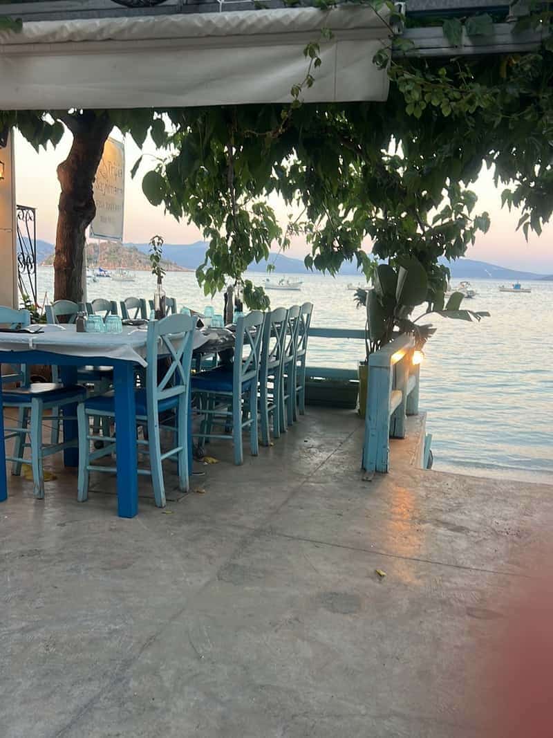 Tripia Sayionara Tavern — 2