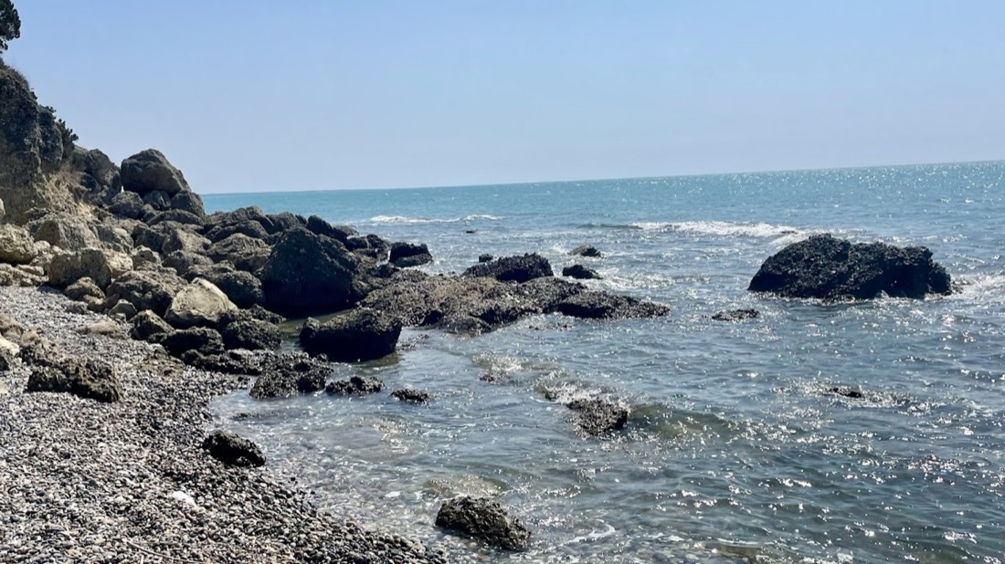 Wild Beach 2