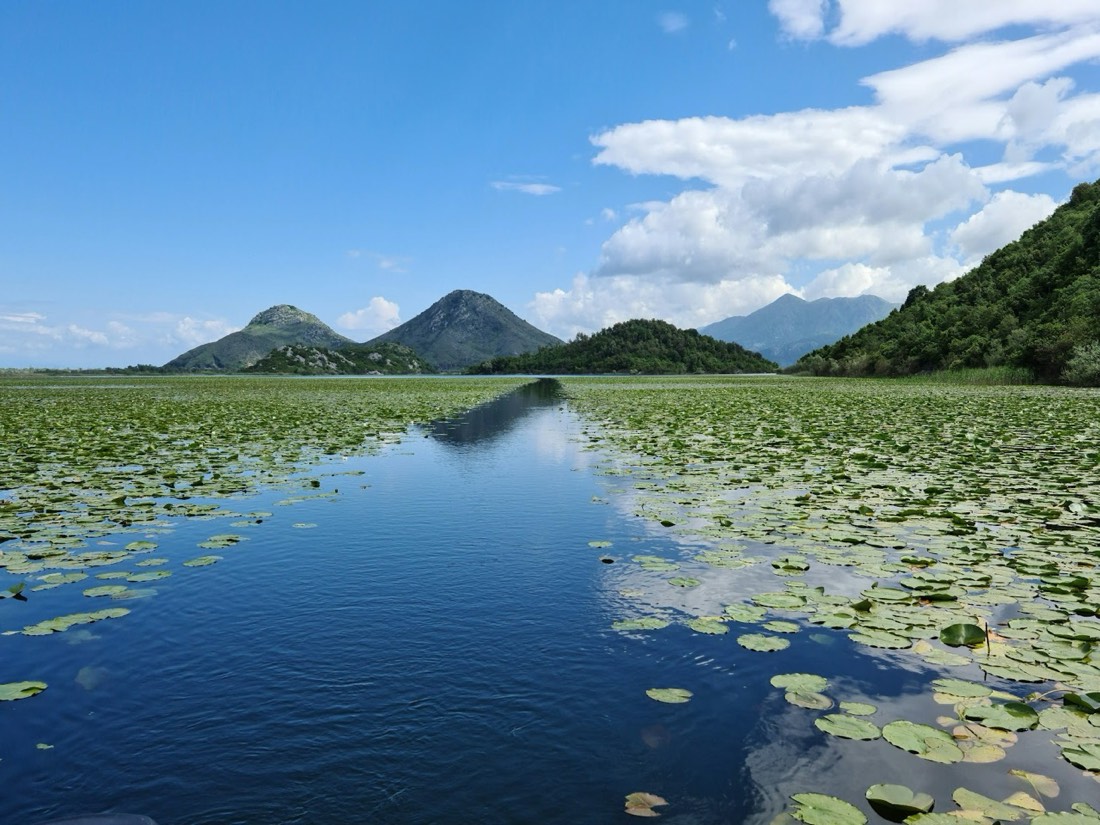 Lake Shkodra 2