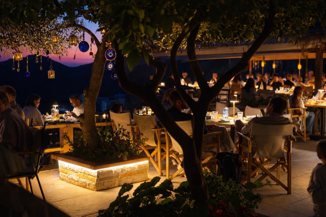 Fig and Olive 2