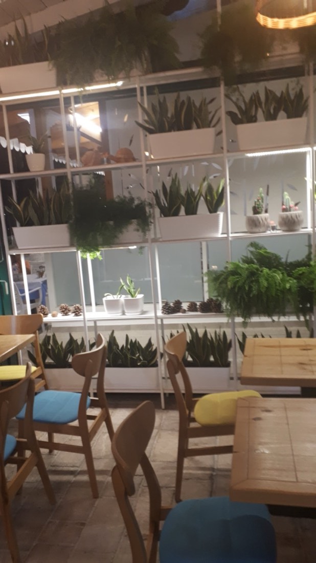 Taverna Garden 2