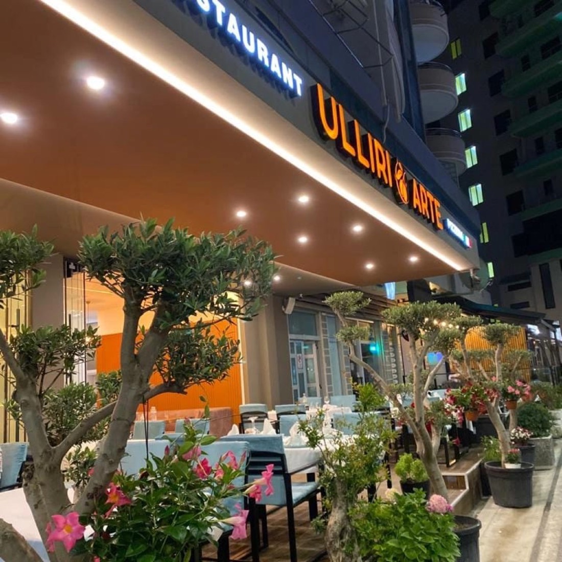 Ulliri i Artë Restaurant Pizzeria 2