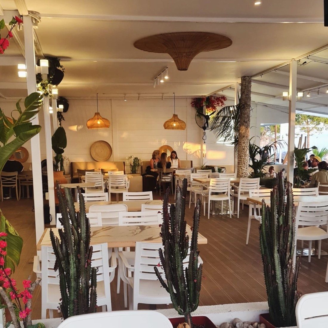 Vela e Bardhe Restaurant 2