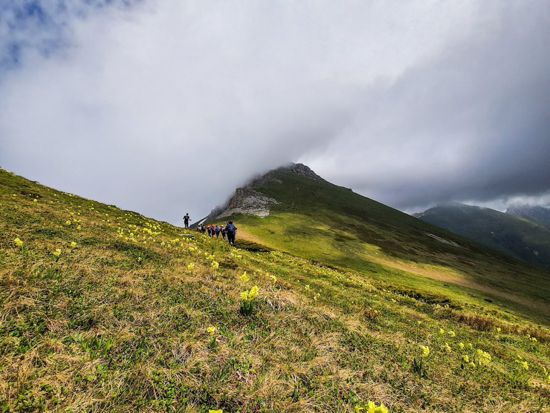 High Scardus Trail 2