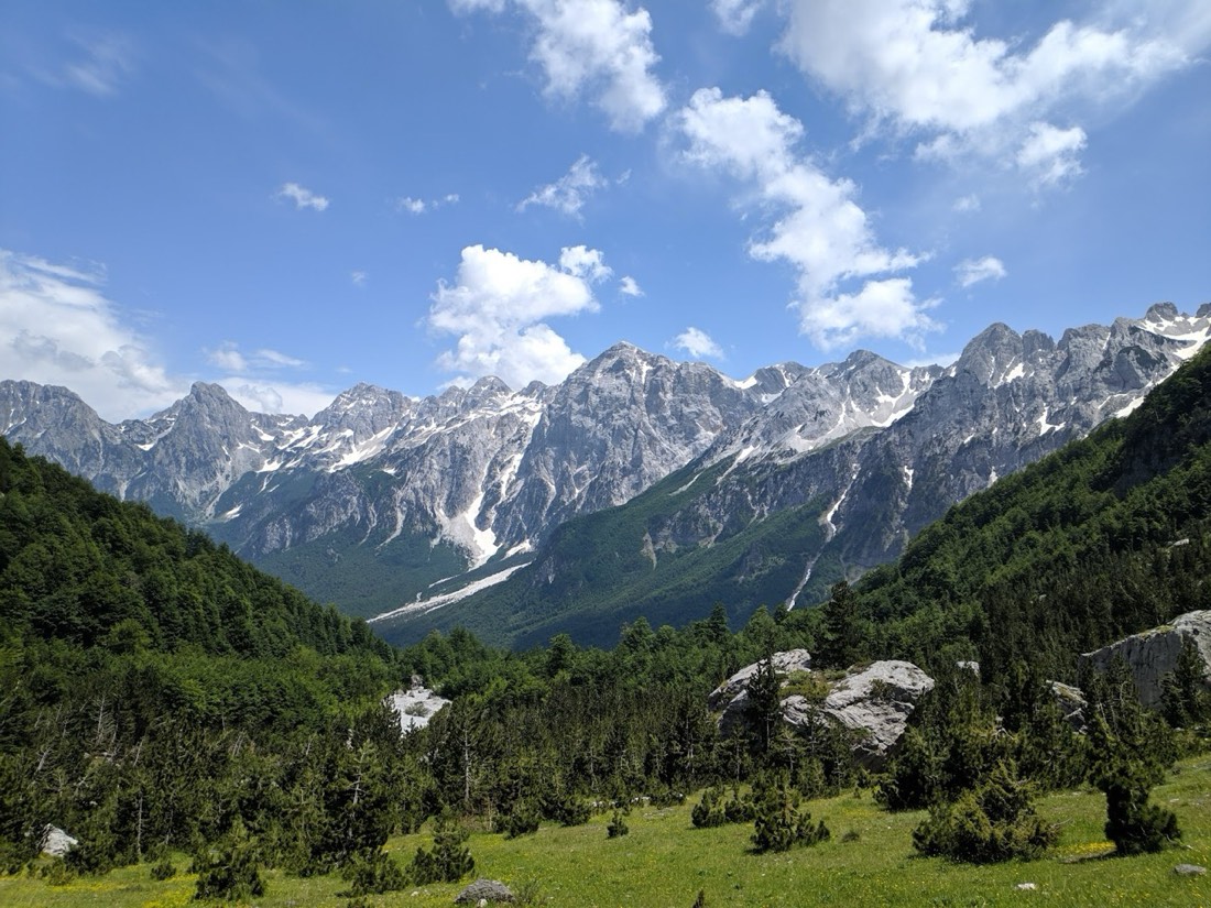 Zla Kolata