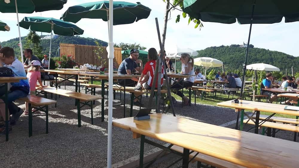 Excursie de o zi în Wachau din Viena: Melk, Dunărea și Dürnstein cu trenul și vaporul