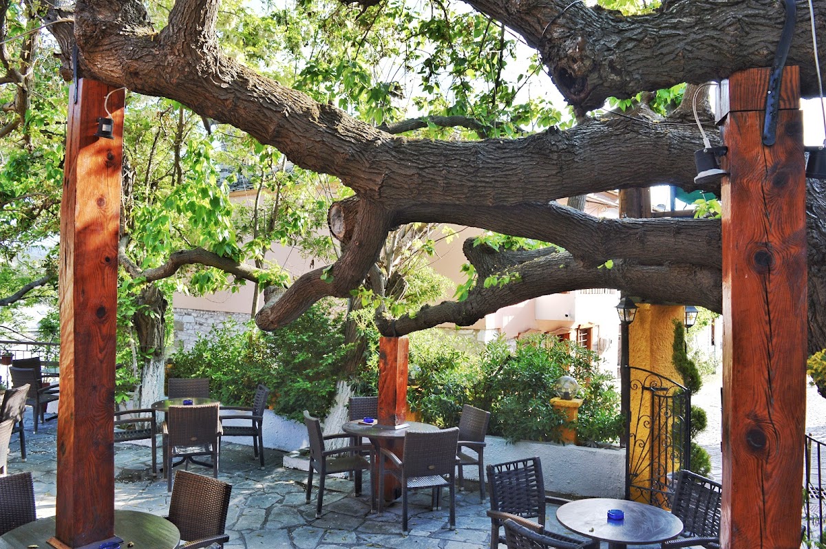 Old Museum Cafe Bar — tavernă în Theologos, Thassos