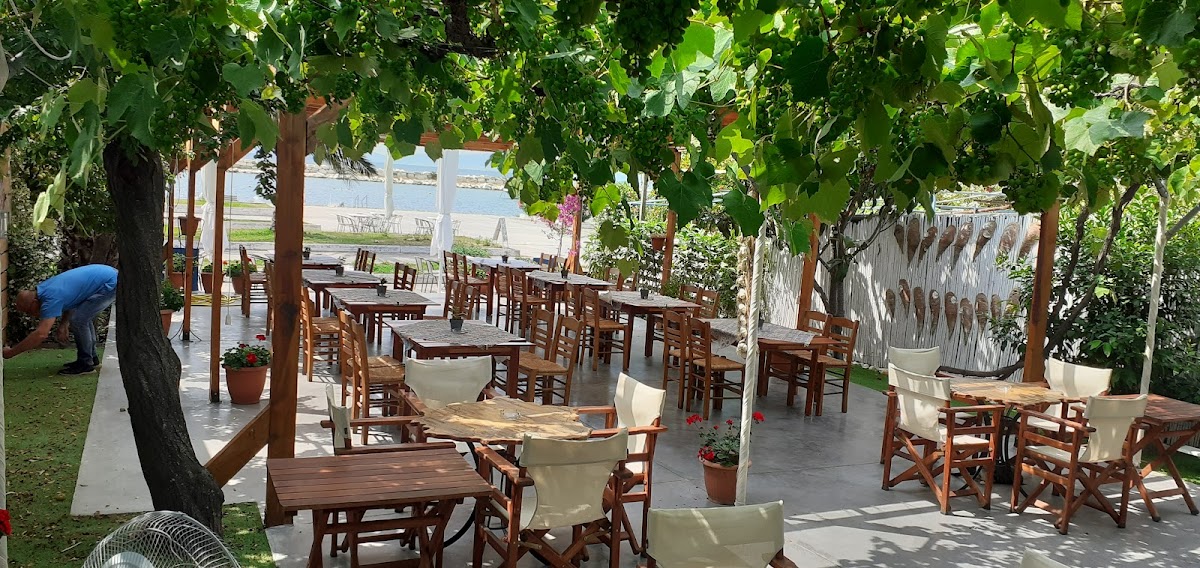 Porto Butterfly, Thassos