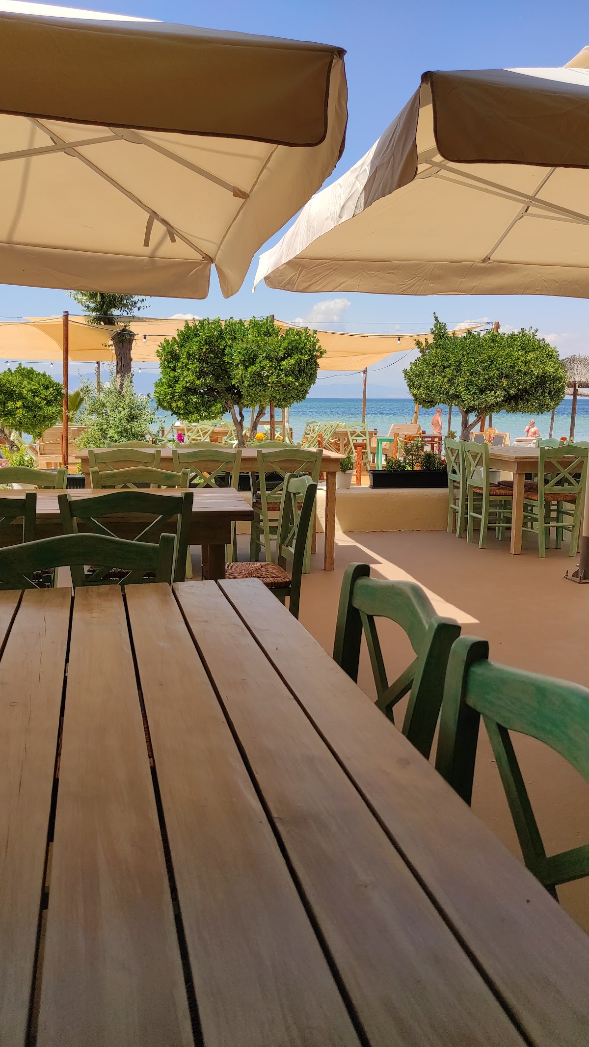 TERPSICHORI Restaurant — tavernă în Skala Prinos, Thassos