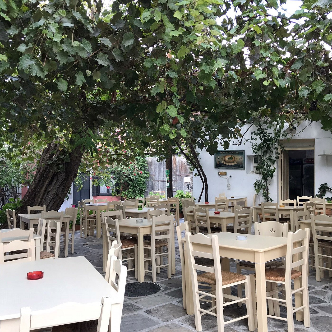 Taverna Giannis — tavernă în Limenaria, Thassos