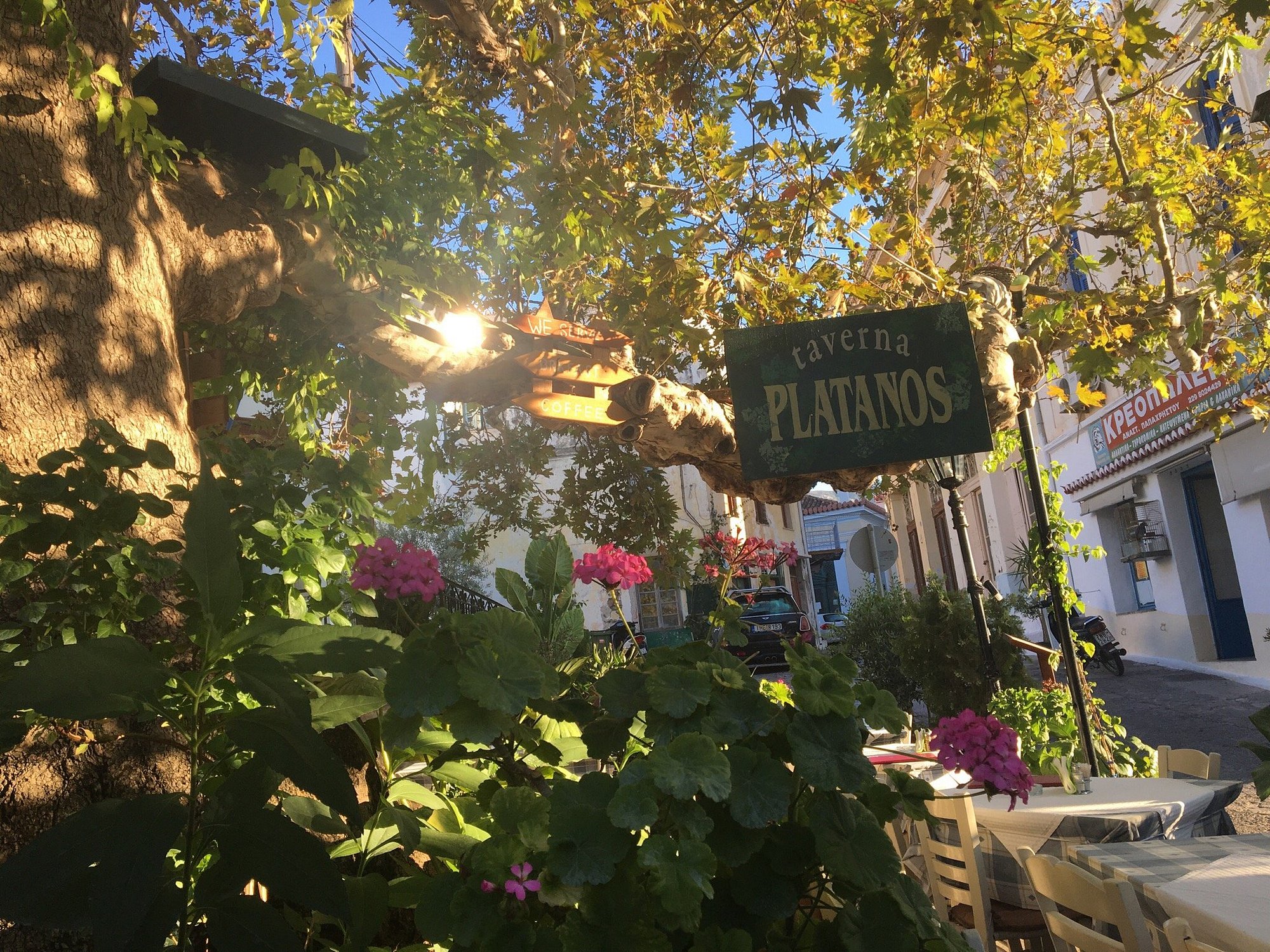 Taverna Platanos — tavernă în Limenas, Thassos