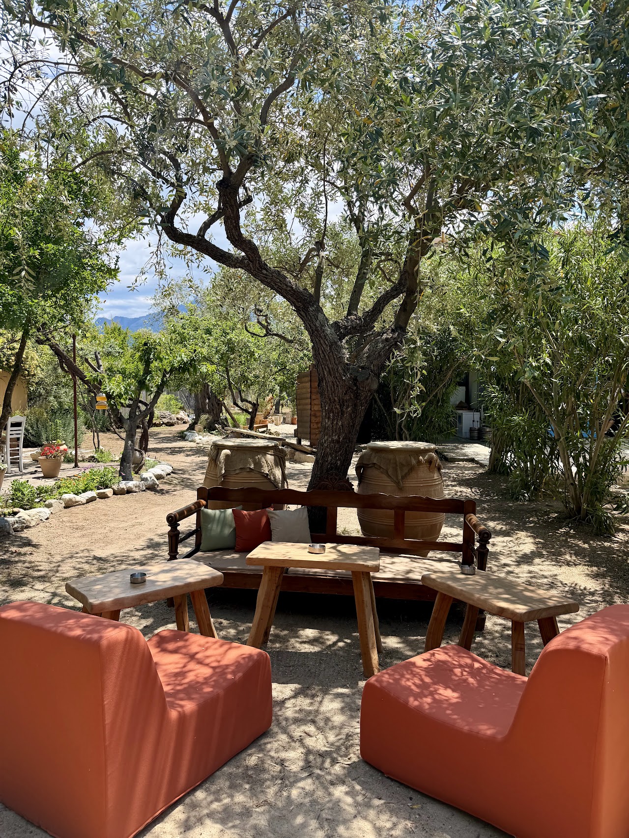 PÁPU Beach & Nature — tavernă în Skala Rachoni, Thassos