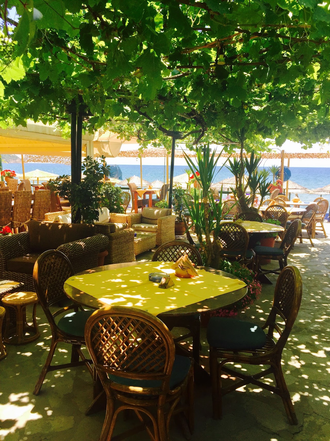 Piatsa Michalis — tavernă în Potos, Thassos
