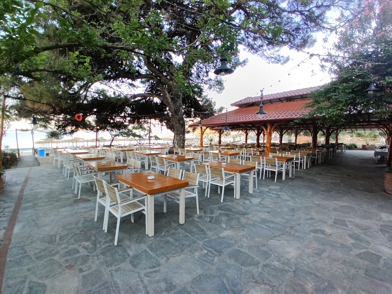 Psili Ammos Fish Restaurant — tavernă în Pefkari, Thassos