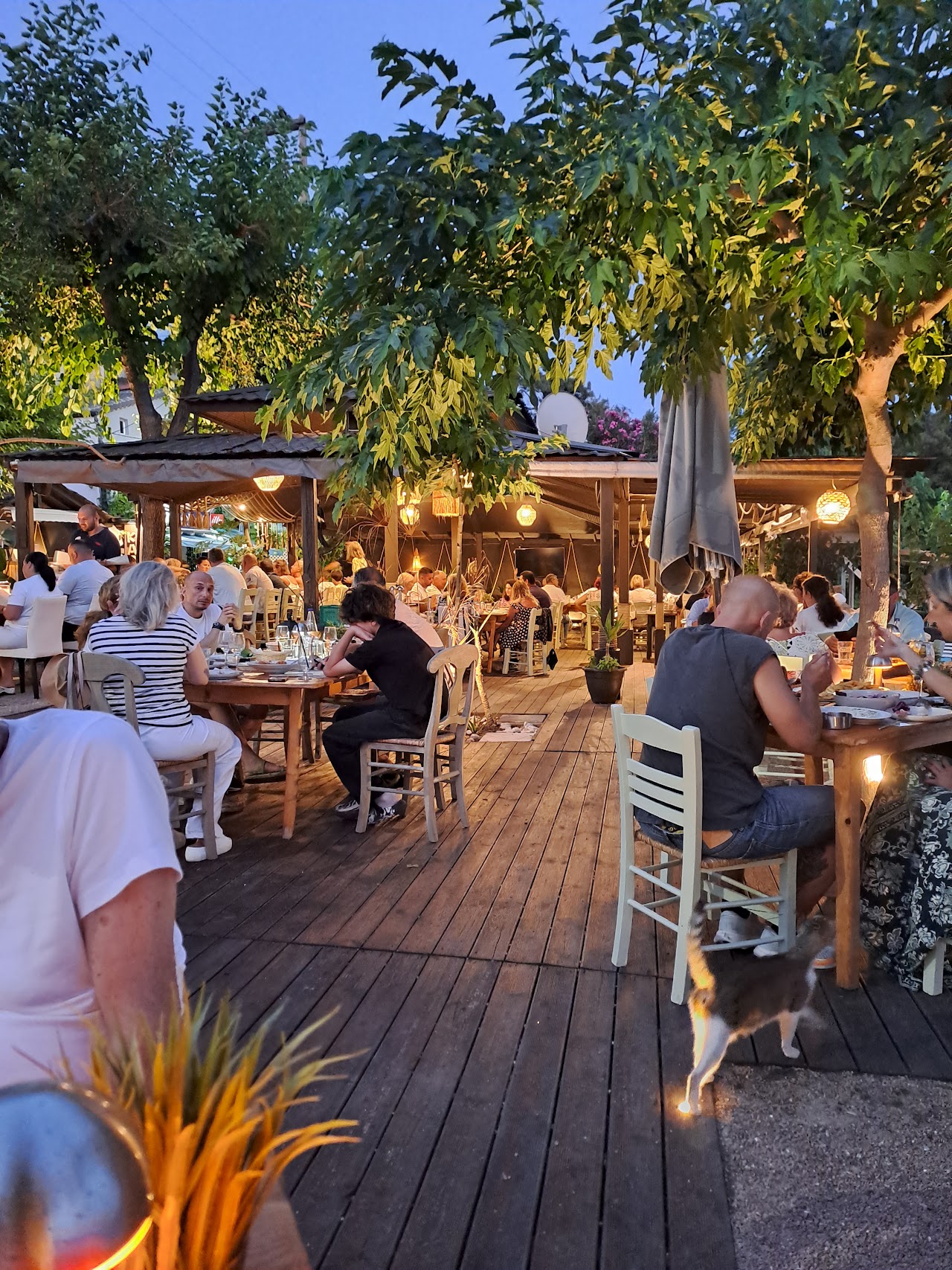 Restaurant Kapahi Thassos — tavernă în Potos, Thassos
