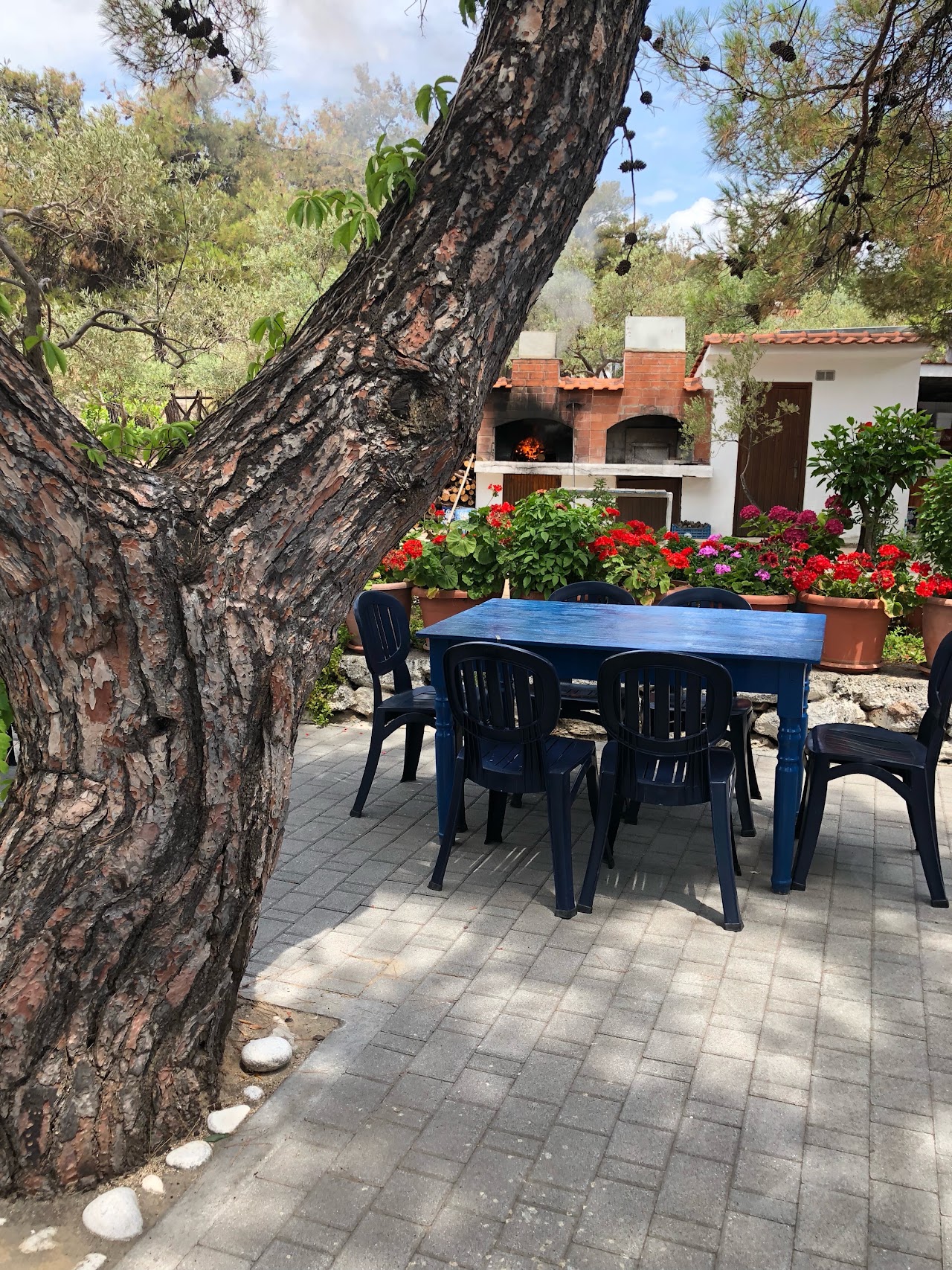 Skidia Traditional Tavern "Σκίδια" Κεκές παραδοσιακή ταβέρνα - ουζερί — tavernă în Aliki, Thassos