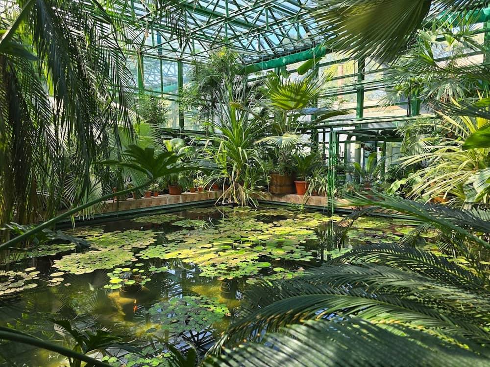 Grădina Botanică „Dimitrie Brândză” — 2