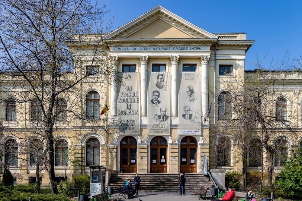 Muzeul Național de Istorie Naturală Grigore Antipa — 2