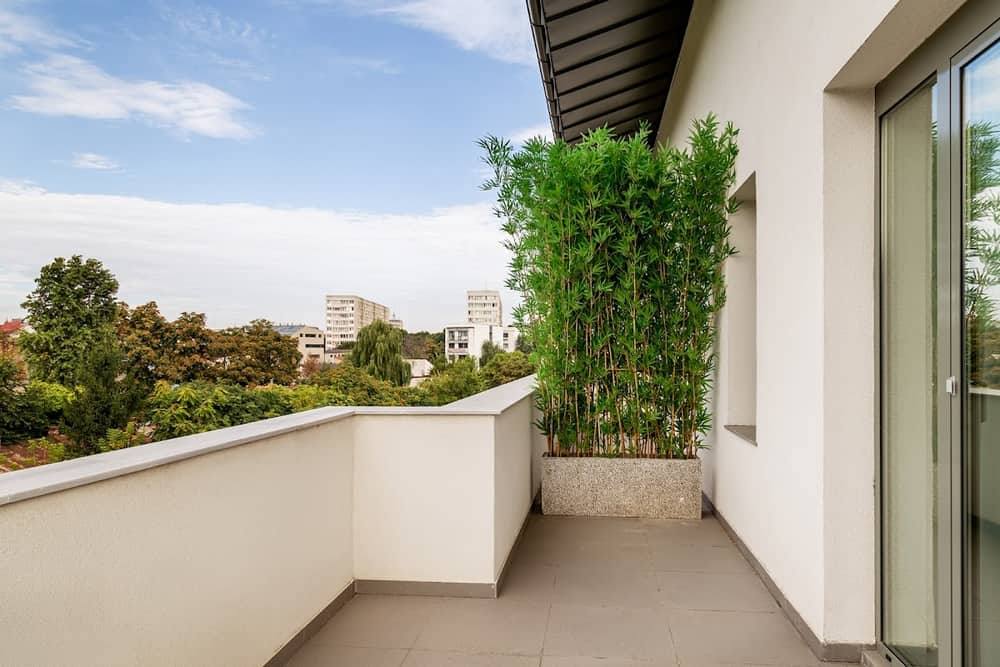 Tomis Garden Bucuresti