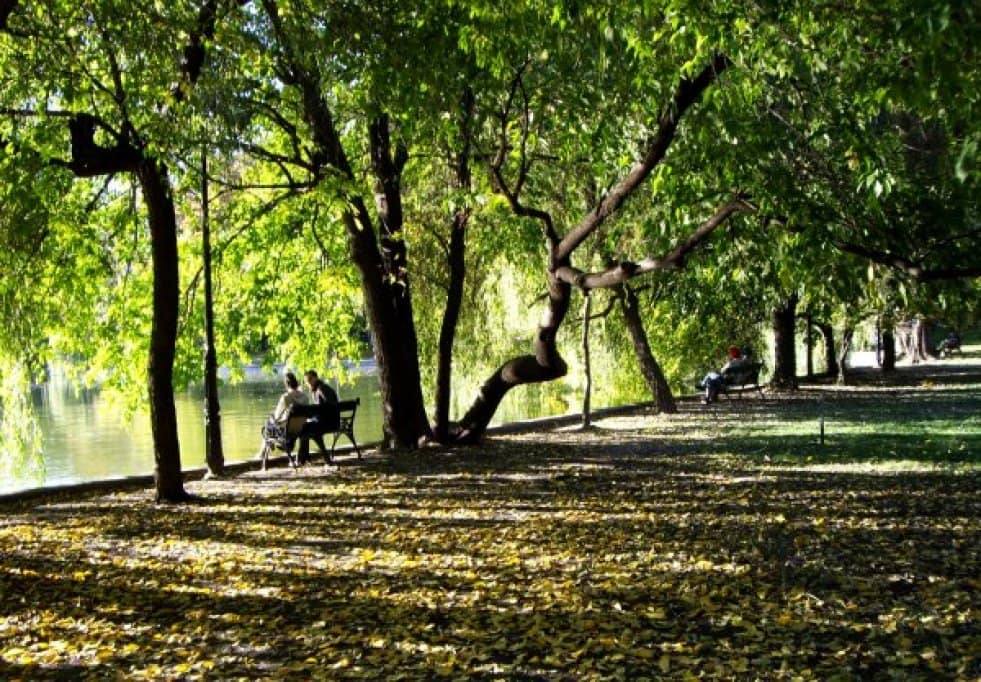 Parks, lakes and urban nature