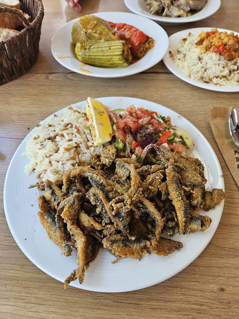 Murat Usta — 2