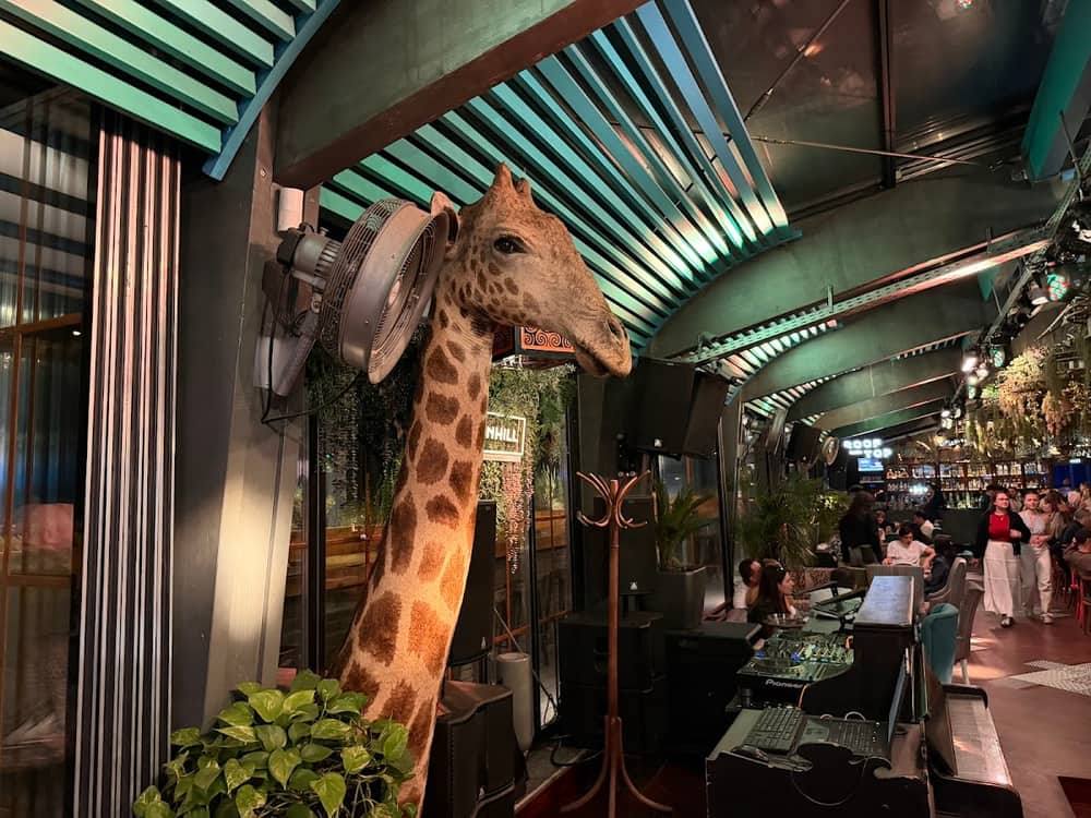Nomad Skybar — 2